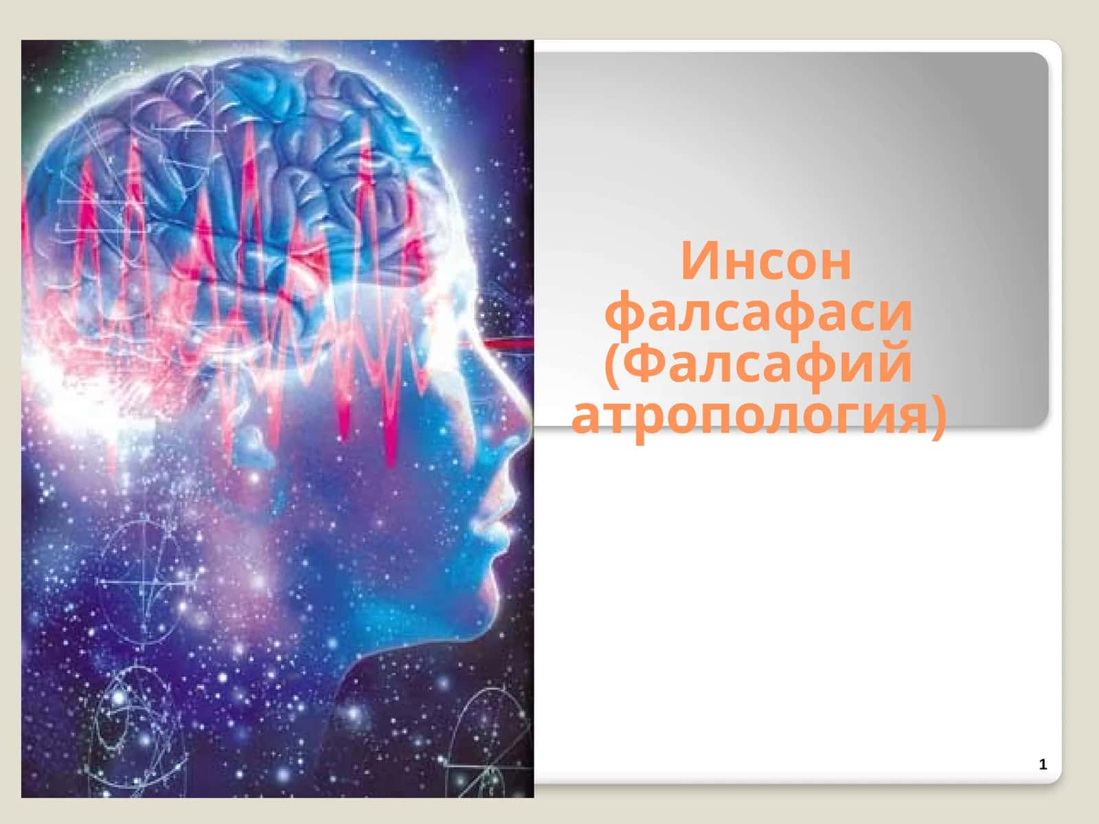 Инсон фалсафаси (Фалсафий атропология)