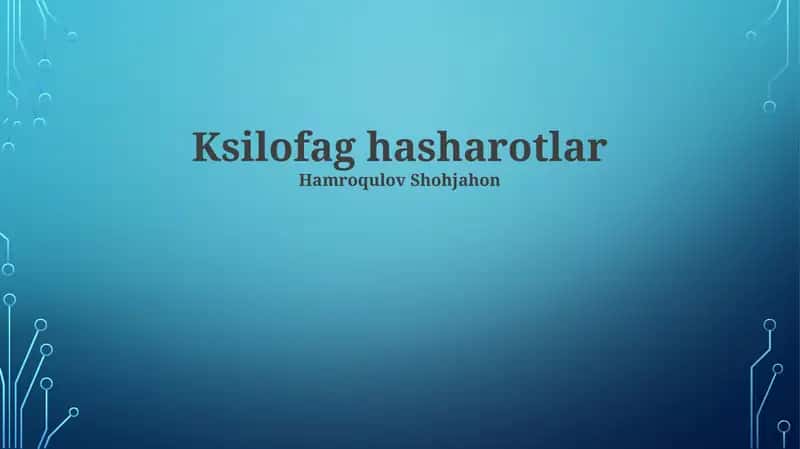 Ksilofag hasharotlar