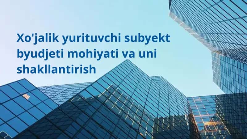 Xo'jalik yurituvchi subyekt byudjeti mohiyati va uni shakllantirish
