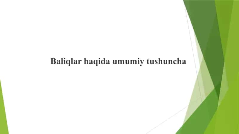 Baliqlar haqida umumiy tushuncha