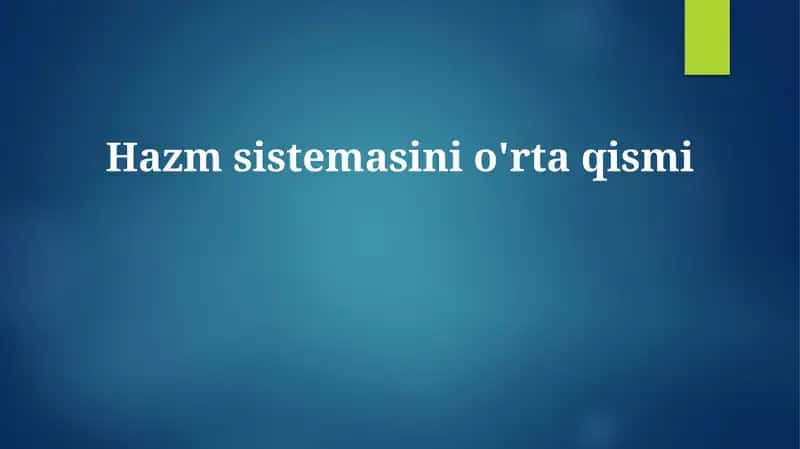 Hazm sistemasini o'rta qismi