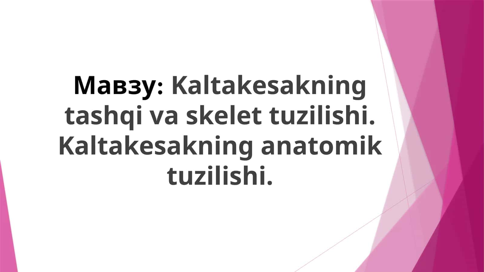 Kaltakesakning tashqi va skelet tuzilishi. Kaltakesakning anatomik tuzilishi