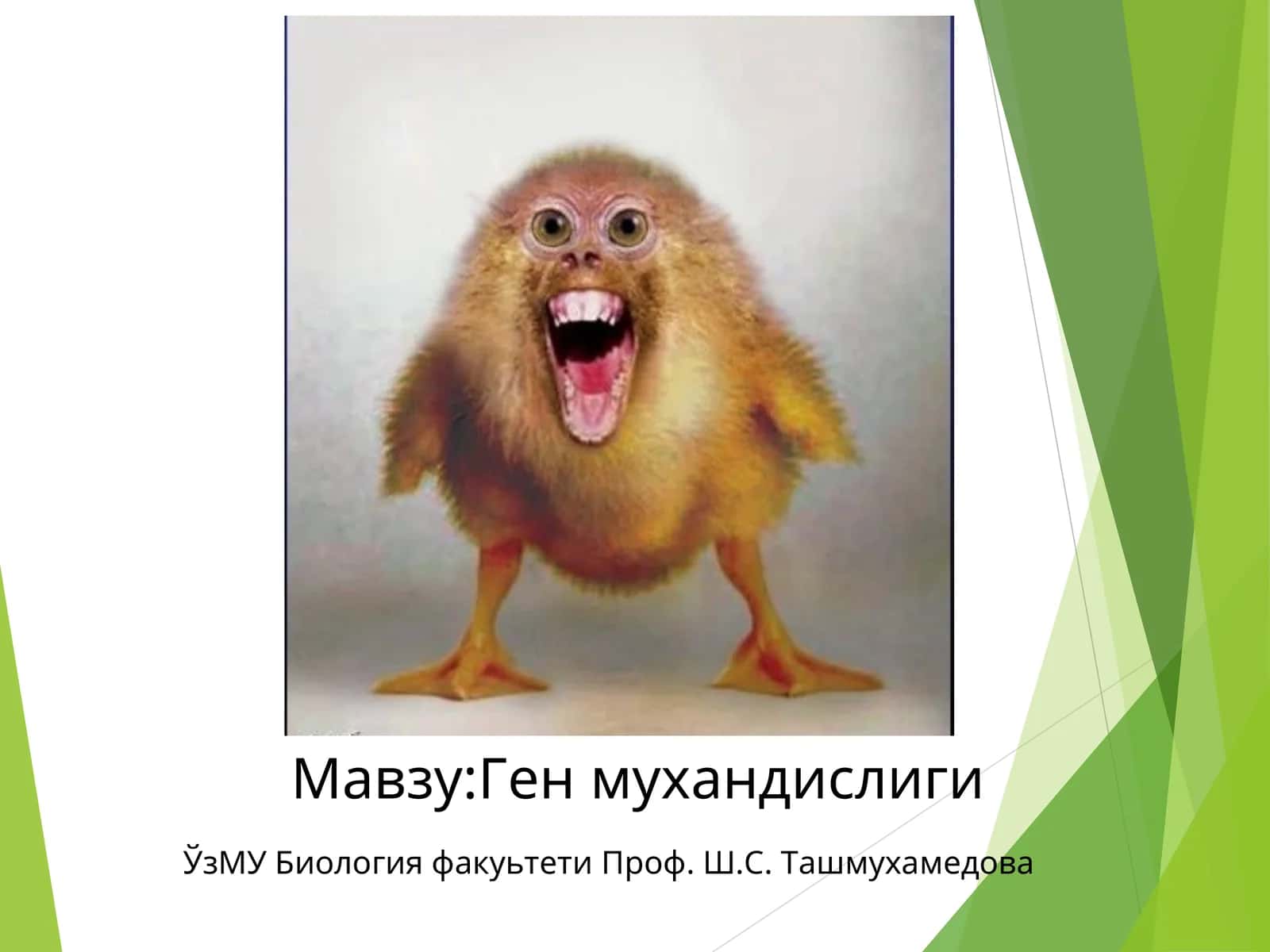 Ген мухандислиги