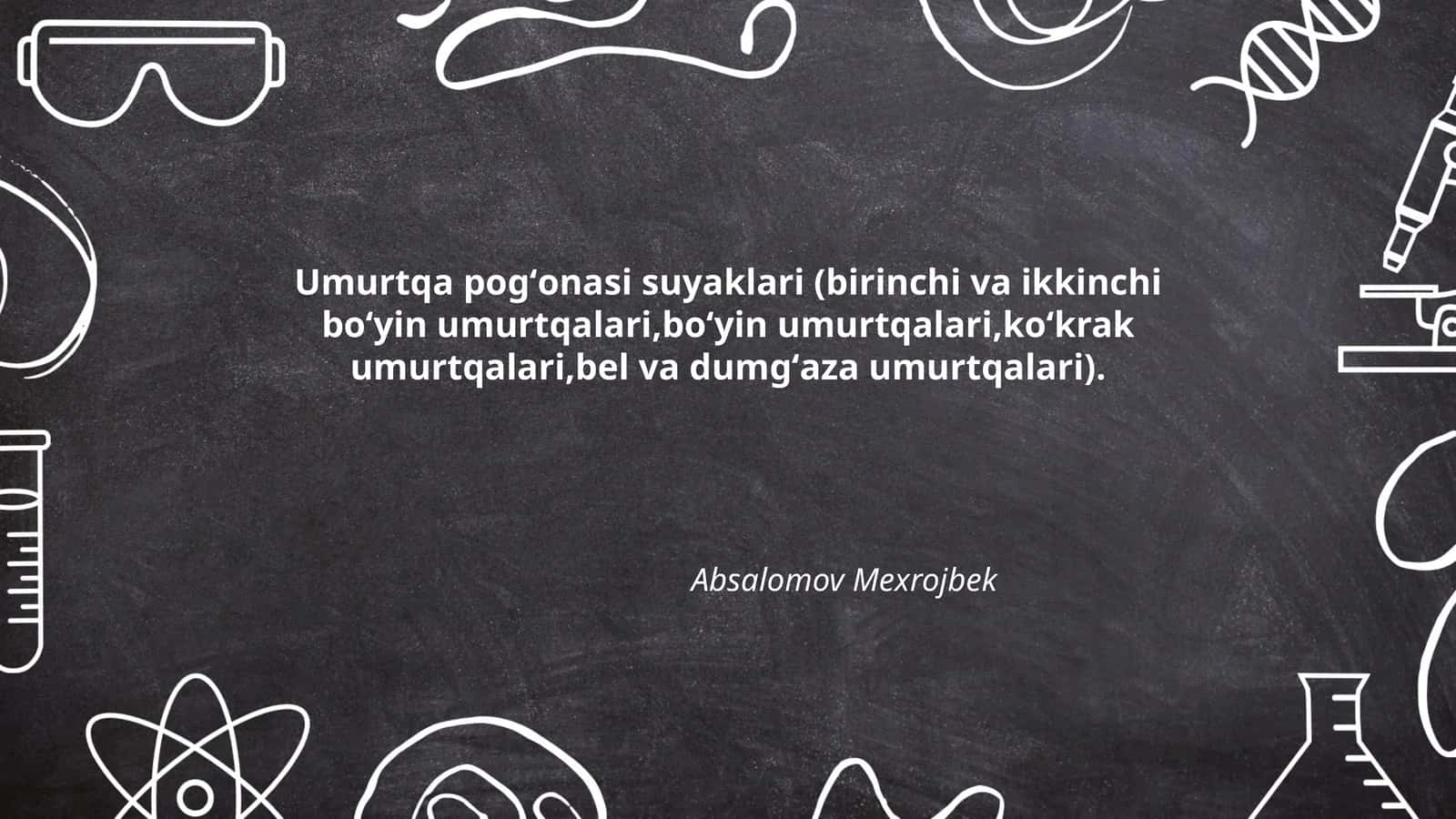 Umurtqa pogʻonasi suyaklari (birinchi va ikkinchi boʻyin umurtqalari,boʻyin umurtqalari,koʻkrak umurtqalari,bel va dumgʻaza umurtqalari)