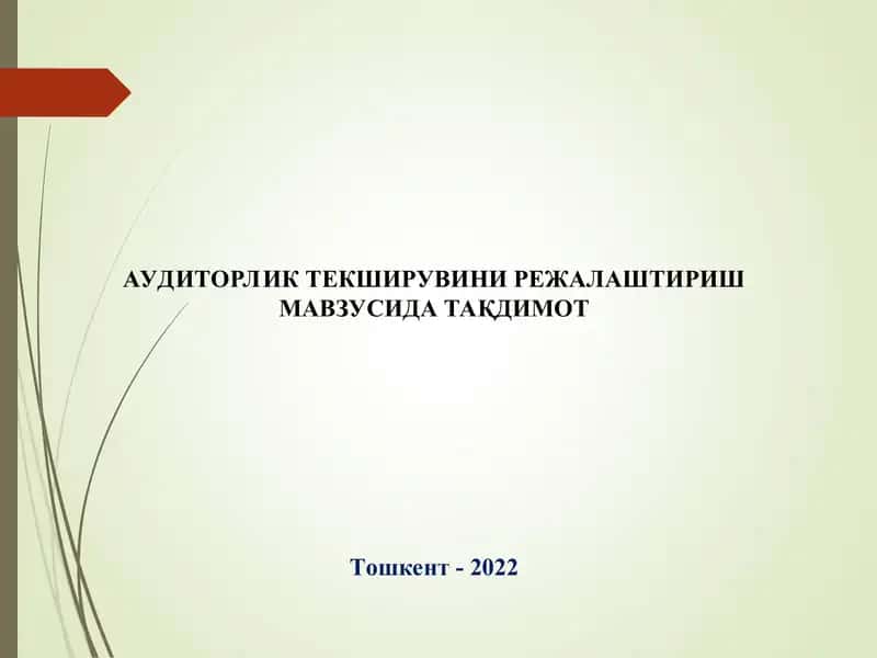 Аудиторлик текширувини режалаштириш