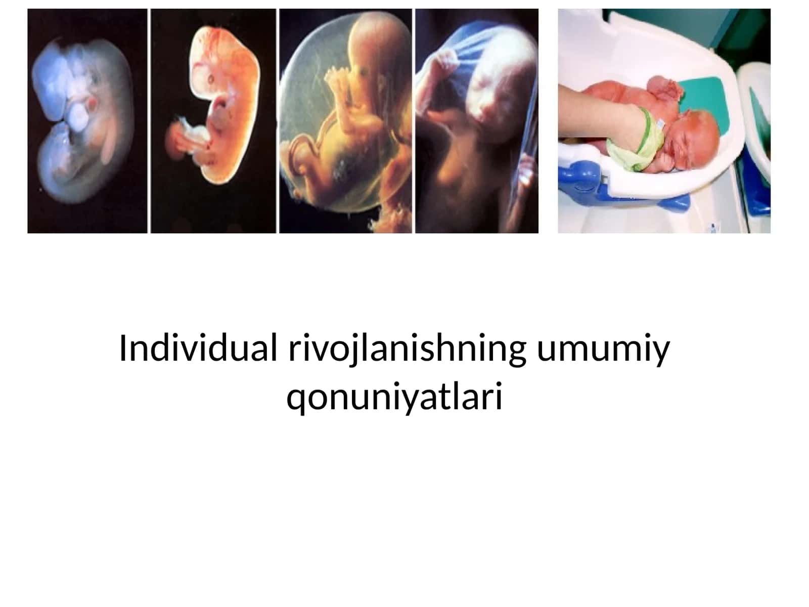 Individual rivojlanishning umumiy qonuniyatlari