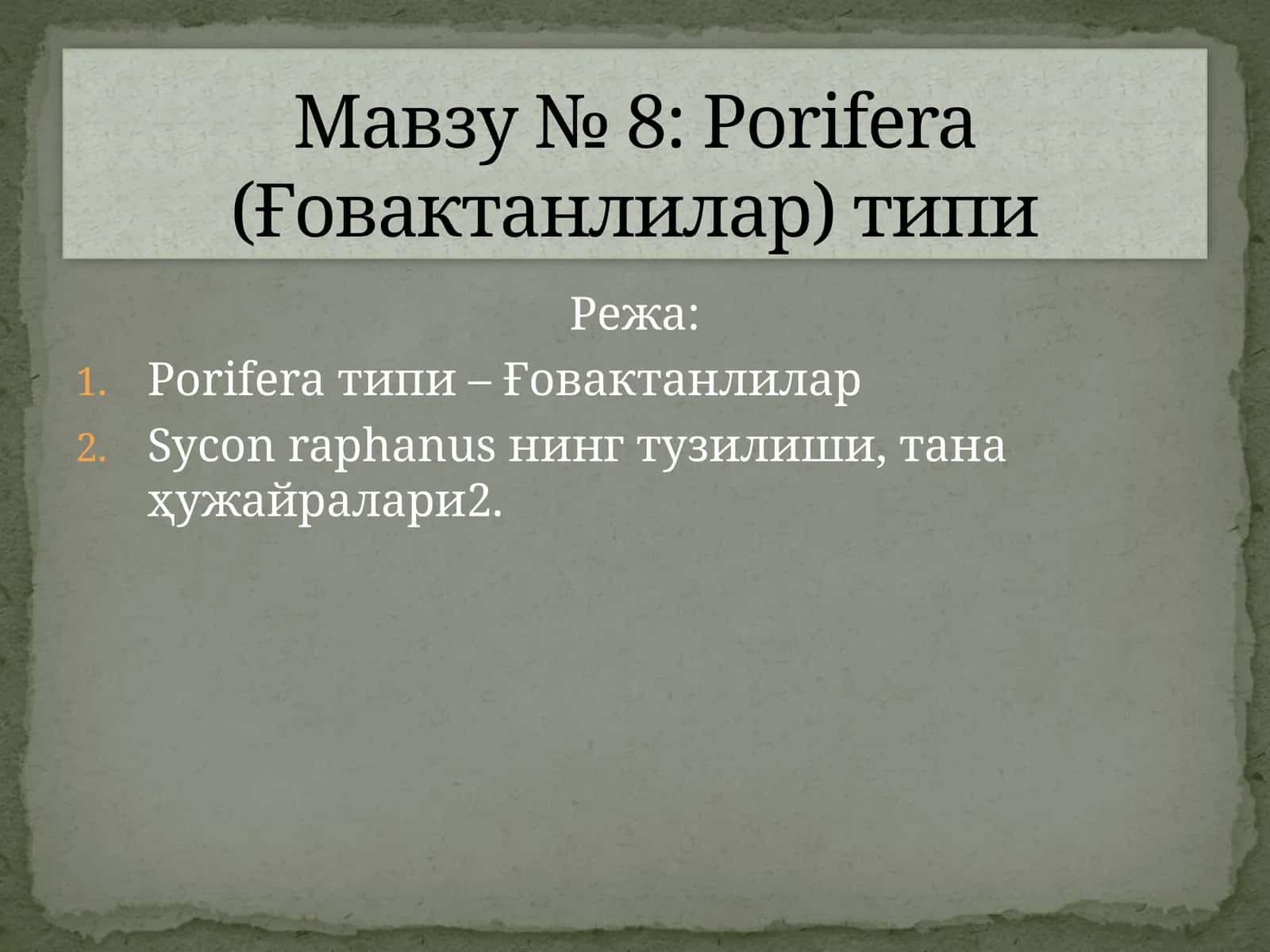 Porifera типи – Ғовактанлилар