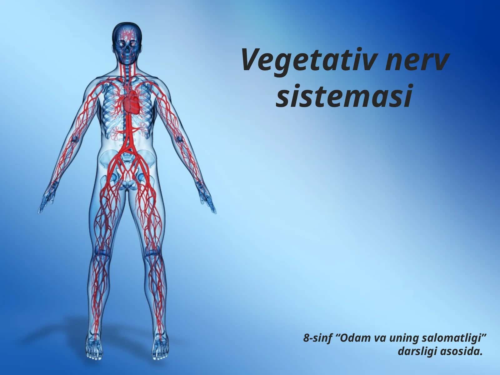Vegetativ nerv sistemasi
