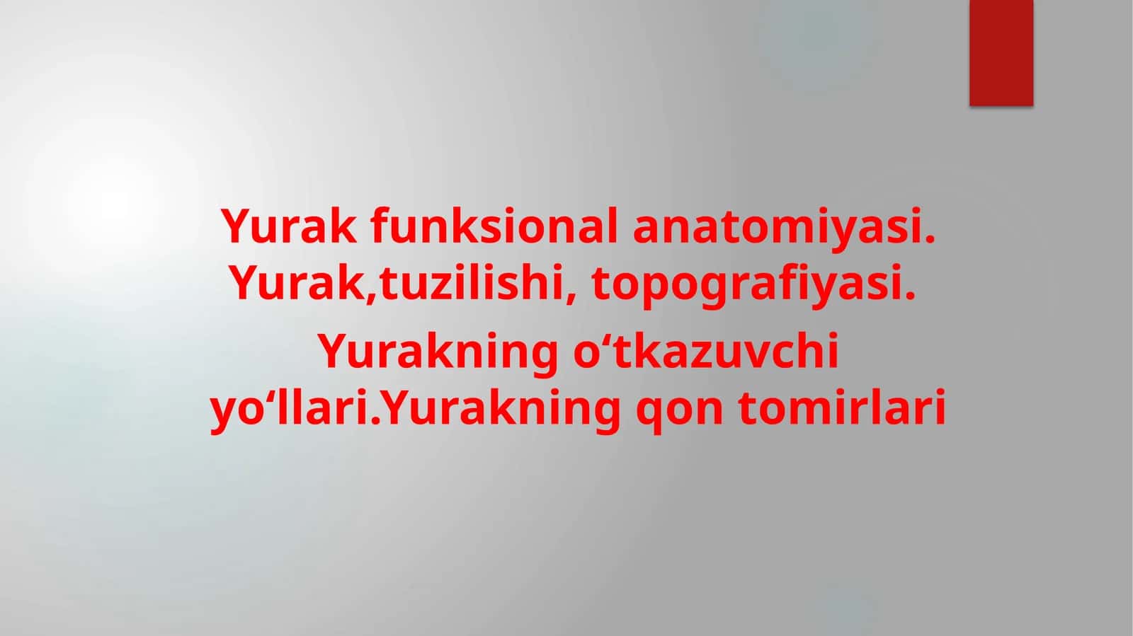 Yurak funksional anatomiyasi