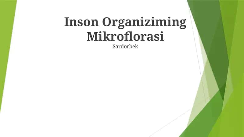 Inson Organiziming Mikroflorasi