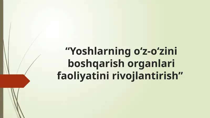 Yoshlarning o'z-o'zini boshqarish organlari faoliyatini rivojlantirish