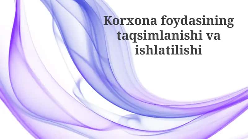 Korxona foydasining taqsimlanishi va ishlatilishi