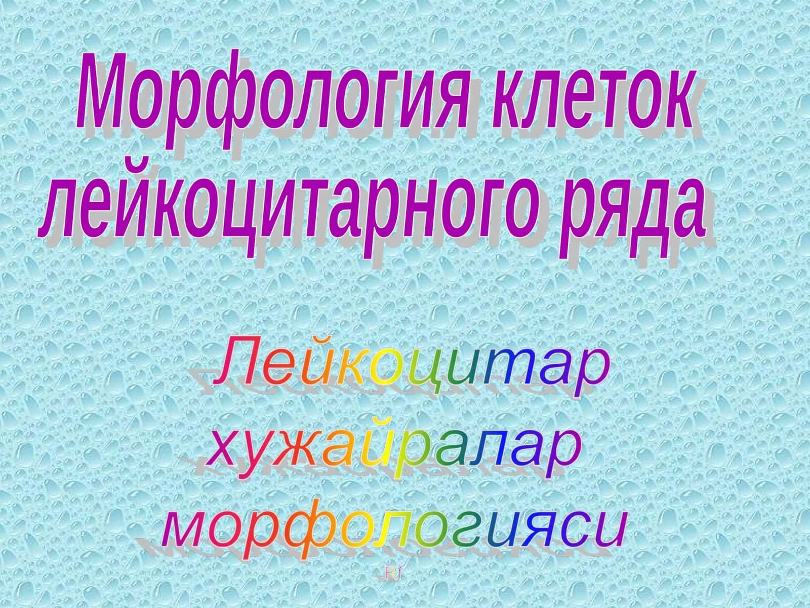 Морфология клеток лейкоцитарного ряда