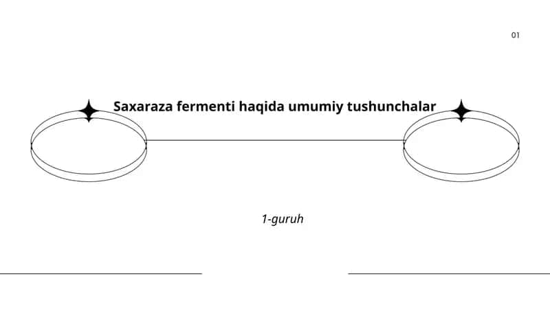 Saxaraza fermenti haqida umumiy tushunchalar