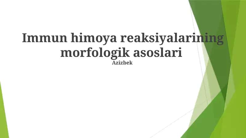 Immun himoya reaksiyalarining morfologik asoslari
