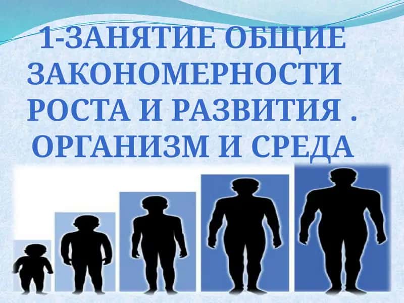 Рост и развитие человека