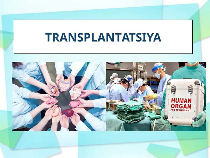 TRANSPLANTATSIYA