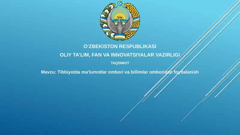 Ma'lumotlar omborlari va bilimlar omborlari: Asosiy tushunchalar va tibbiyotdagi roli