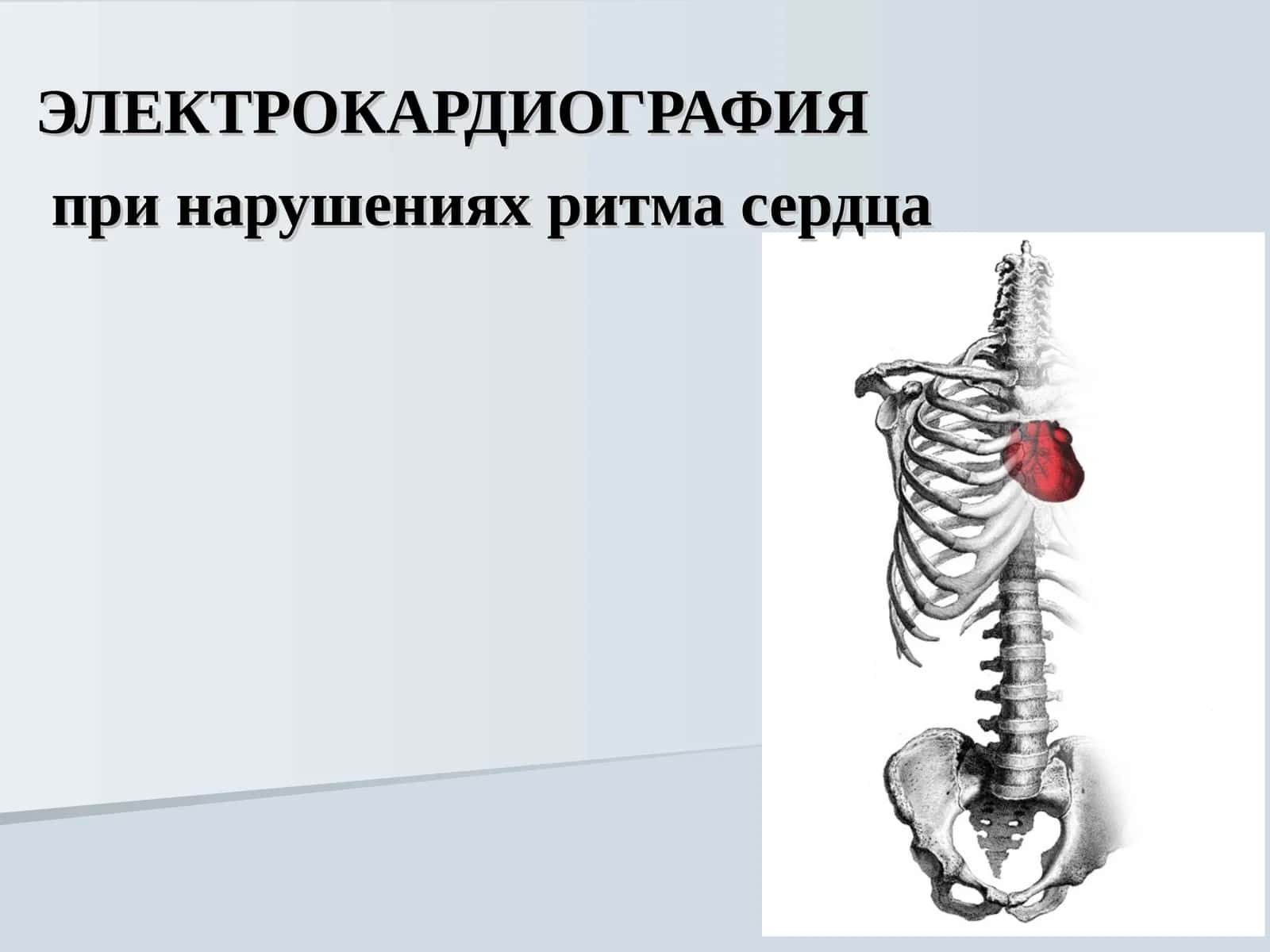 ЭЛЕКТРОКАРДИОГРАФИЯ