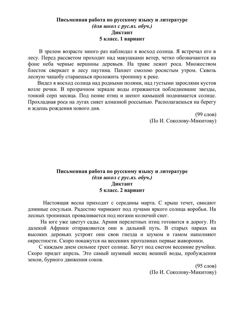 Письменная работа по русскому языку и литературе