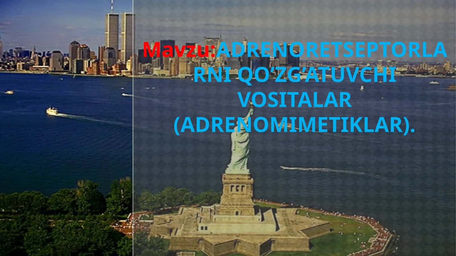 ADRENORETSEPTORLARNI QO’ZG’ATUVCHI VOSITALAR (ADRENOMIMETIKLAR)