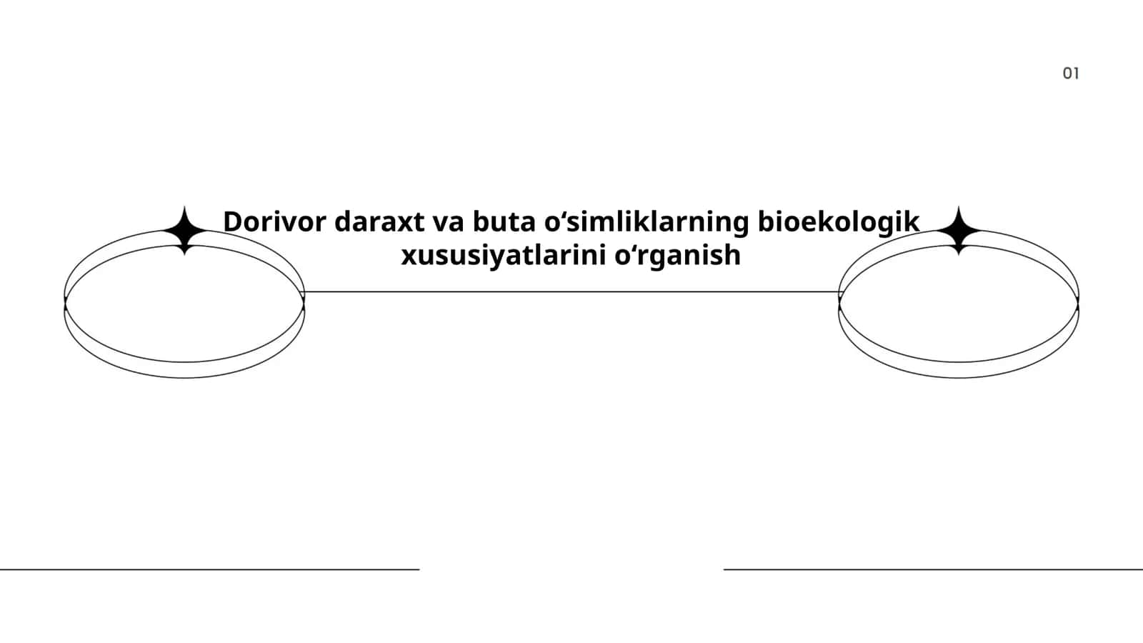 Dorivor daraxt va buta o‘simliklarning bioekologik xususiyatlarini o‘rganish