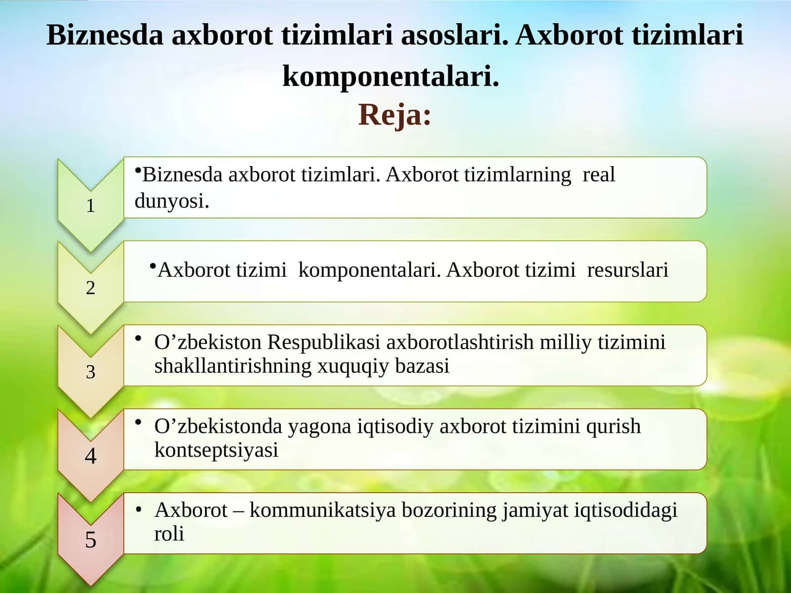 Biznesda axborot tizimlari asoslari. Axborot tizimlari komponentalari