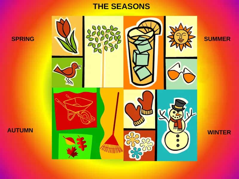 THE SEASONS