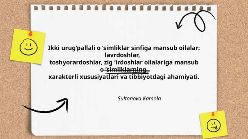 Ikki urug‘pallali o ‘simliklar sinfiga mansub oilalar