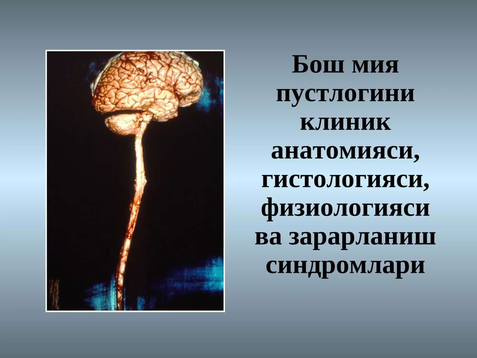 Бош мия пустлоги