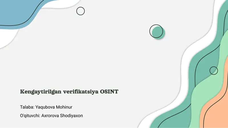 Kengaytirilgan verifikatsiya OSINT