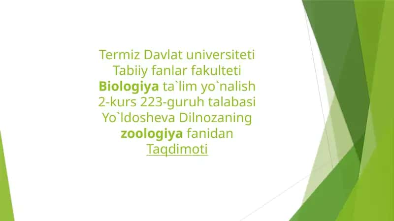 Bosh oyoqlilar nafas olishi va qon aylanish sistemasi