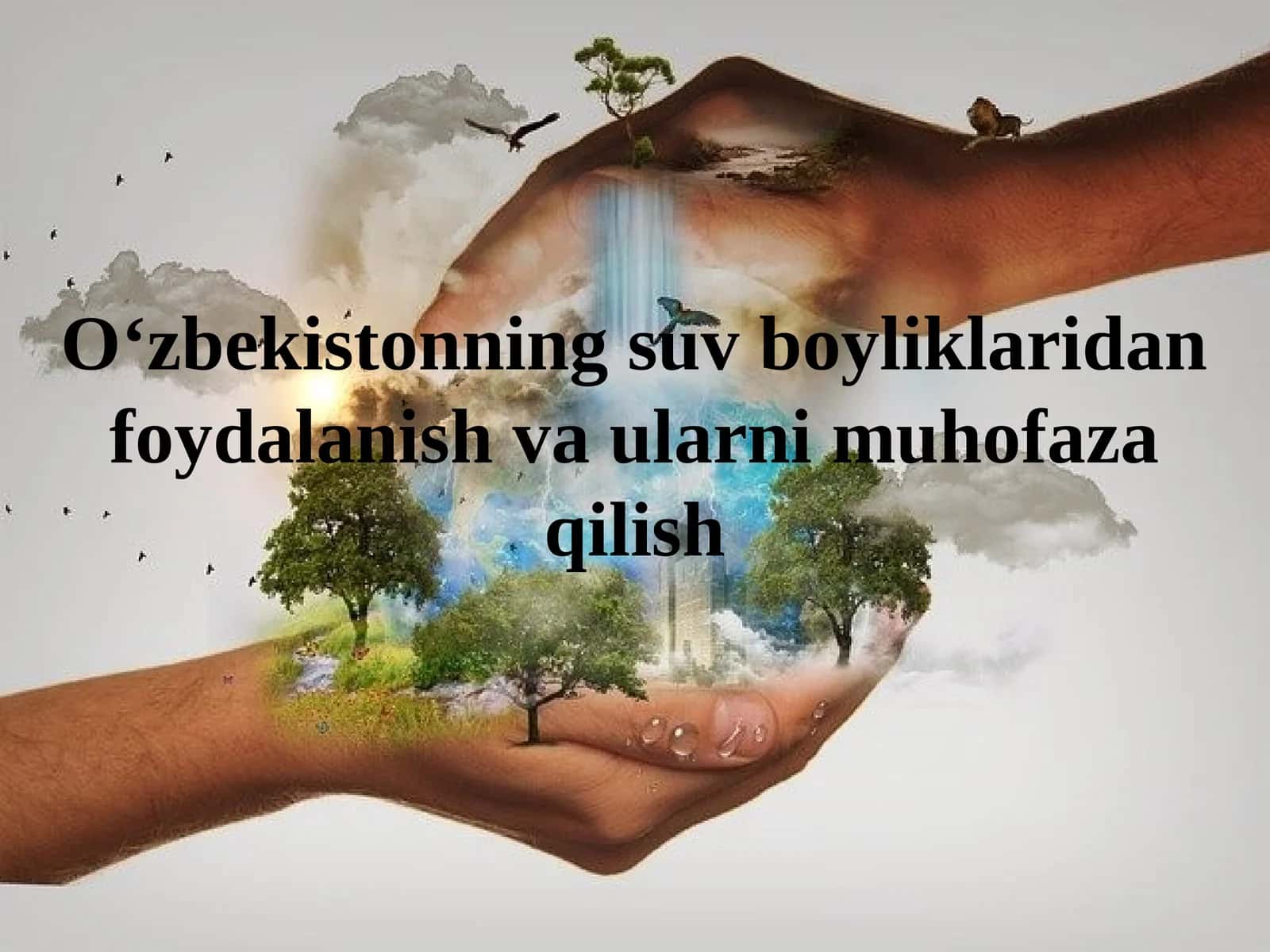 O‘zbekistonning suv boyliklaridan foydalanish va ularni muhofaza qilish