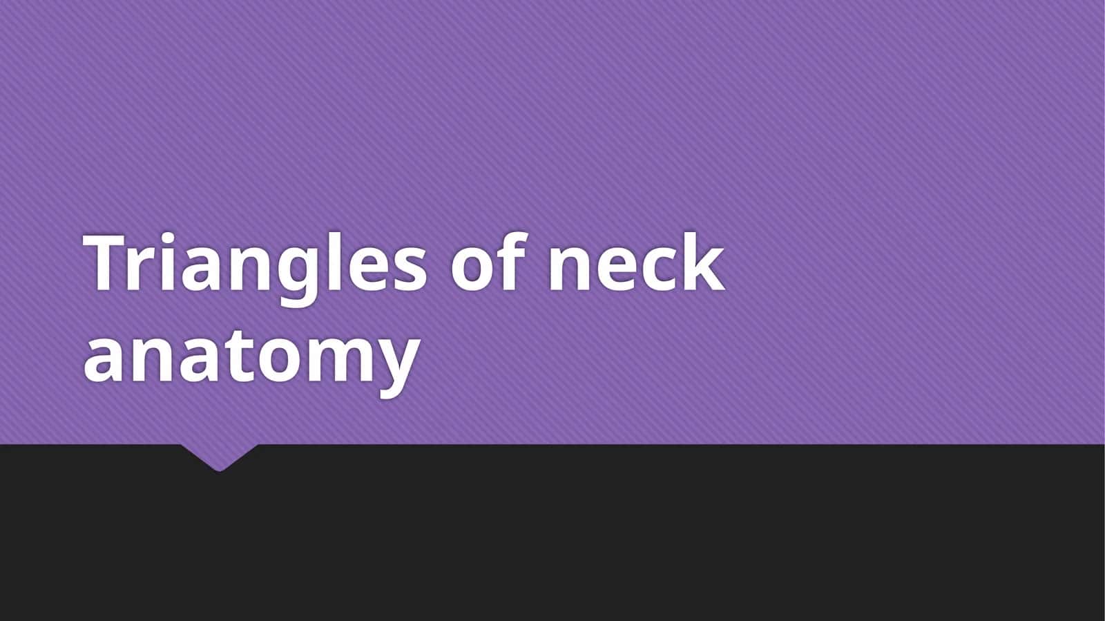 Triangles of neck anatomy