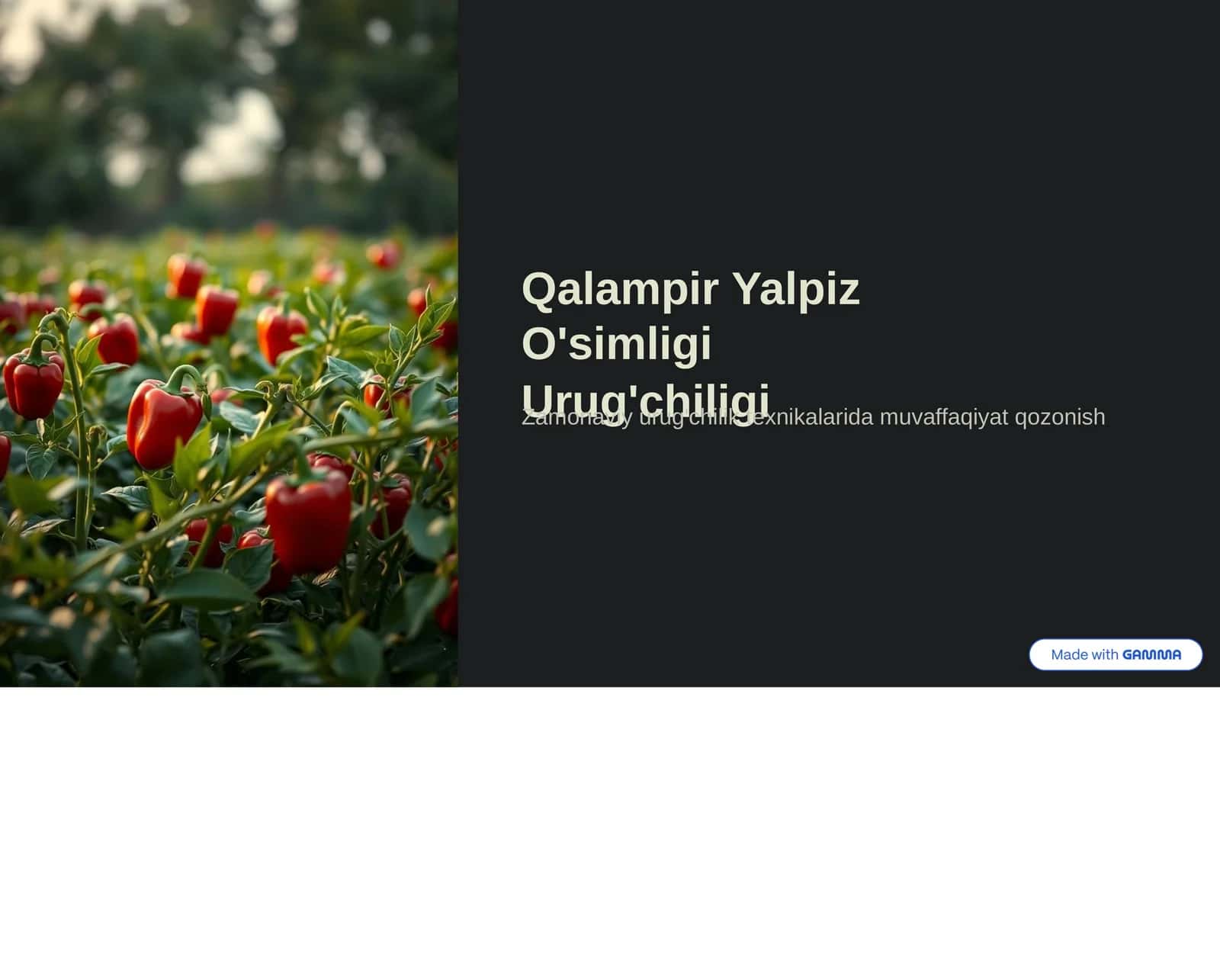 Qalampir Yalpiz O'simligi