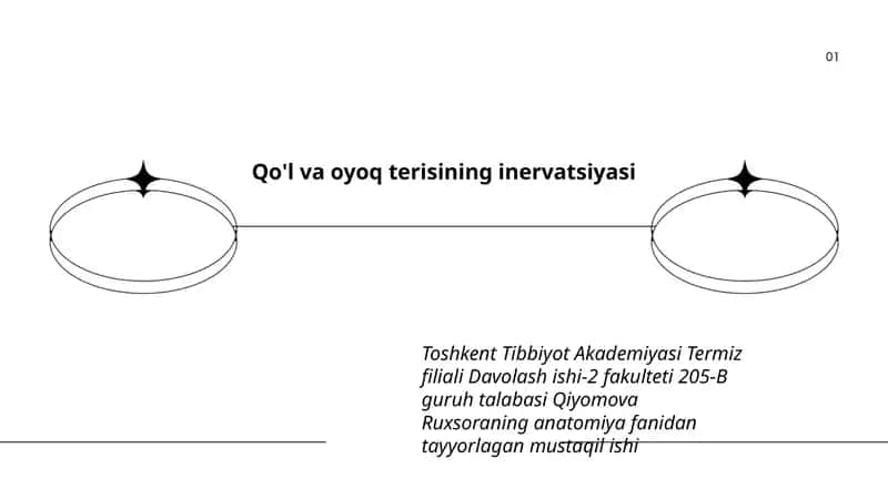 Qo'l va oyoq terisining inervatsiyasi