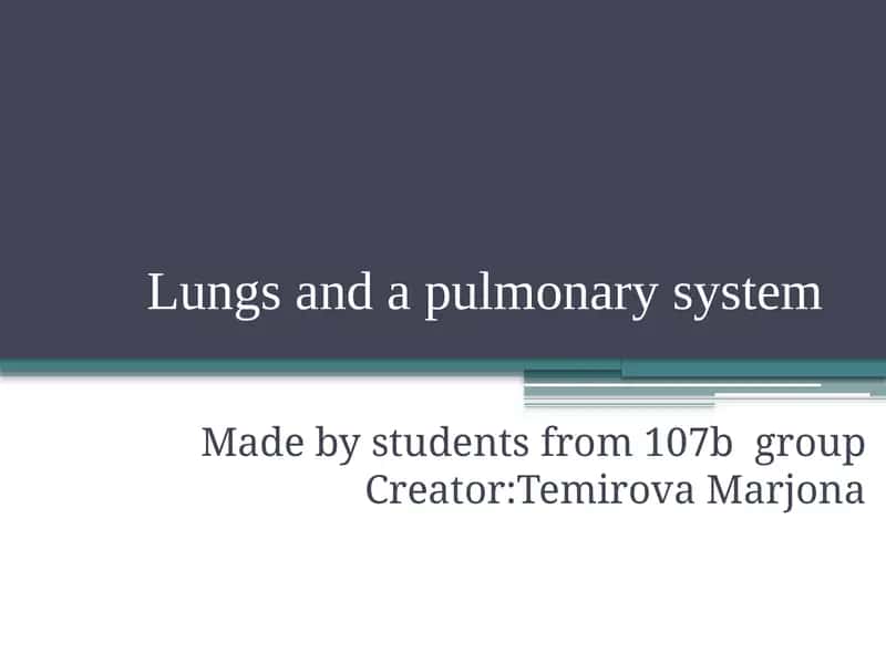 Lungs and a pulmonary system