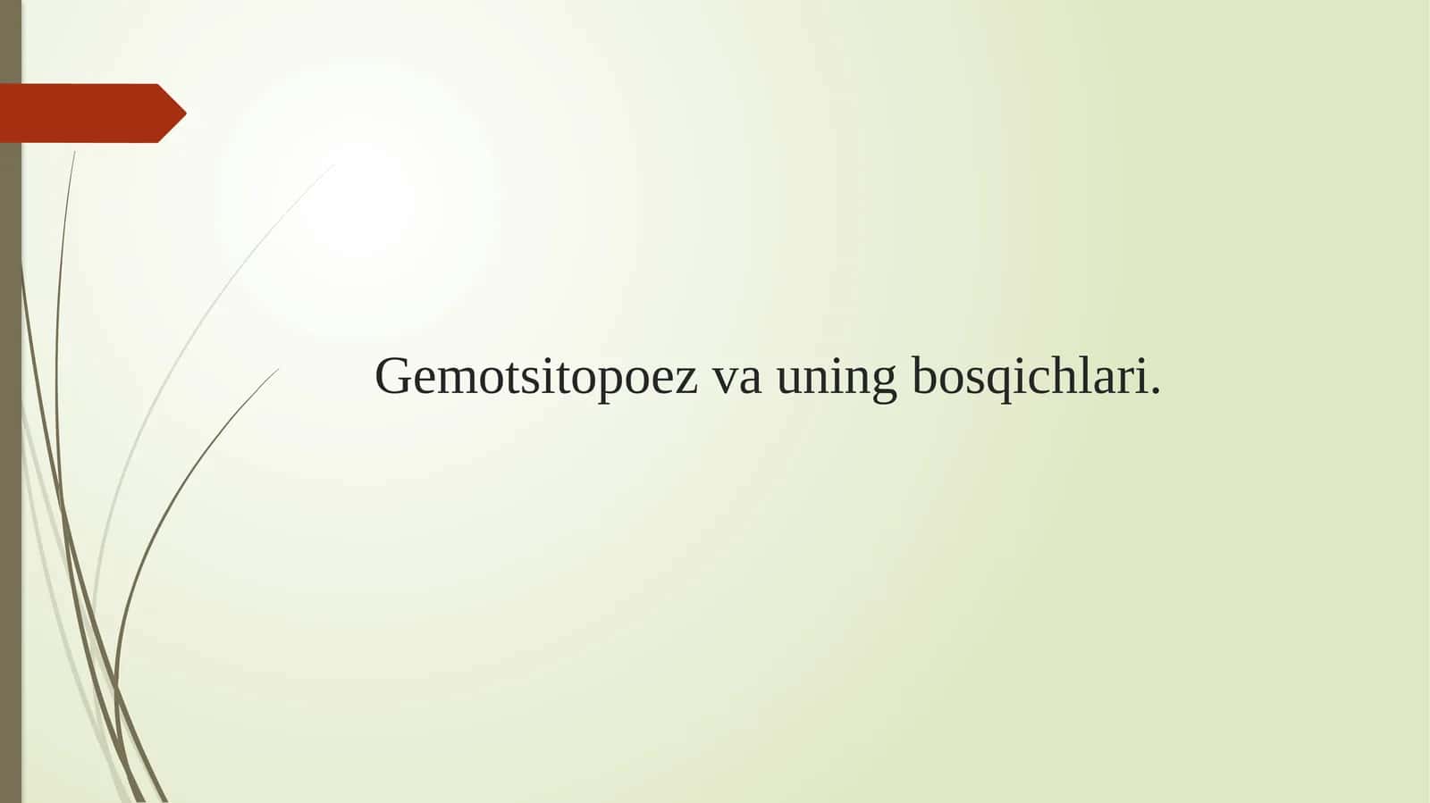 Gemotsitopoez va uning bosqichlari.