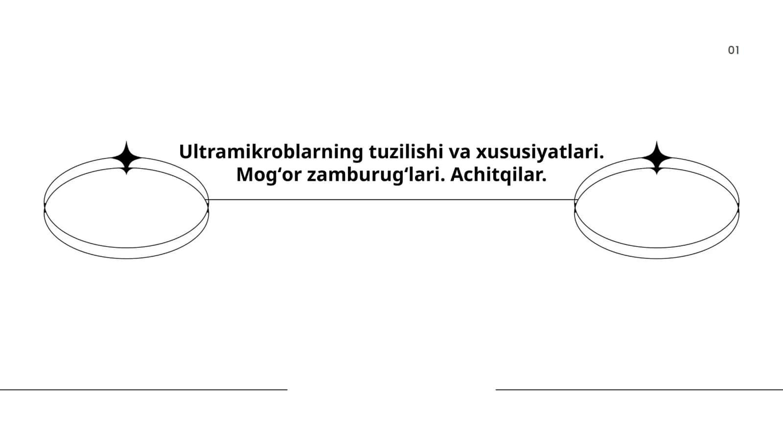 Ultramikroblarning tuzilishi va xususiyatlari