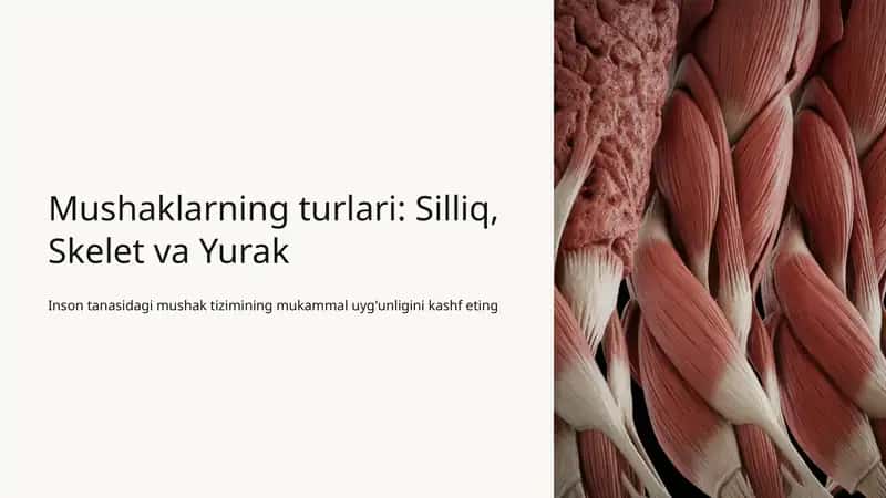 Mushaklar turlari
