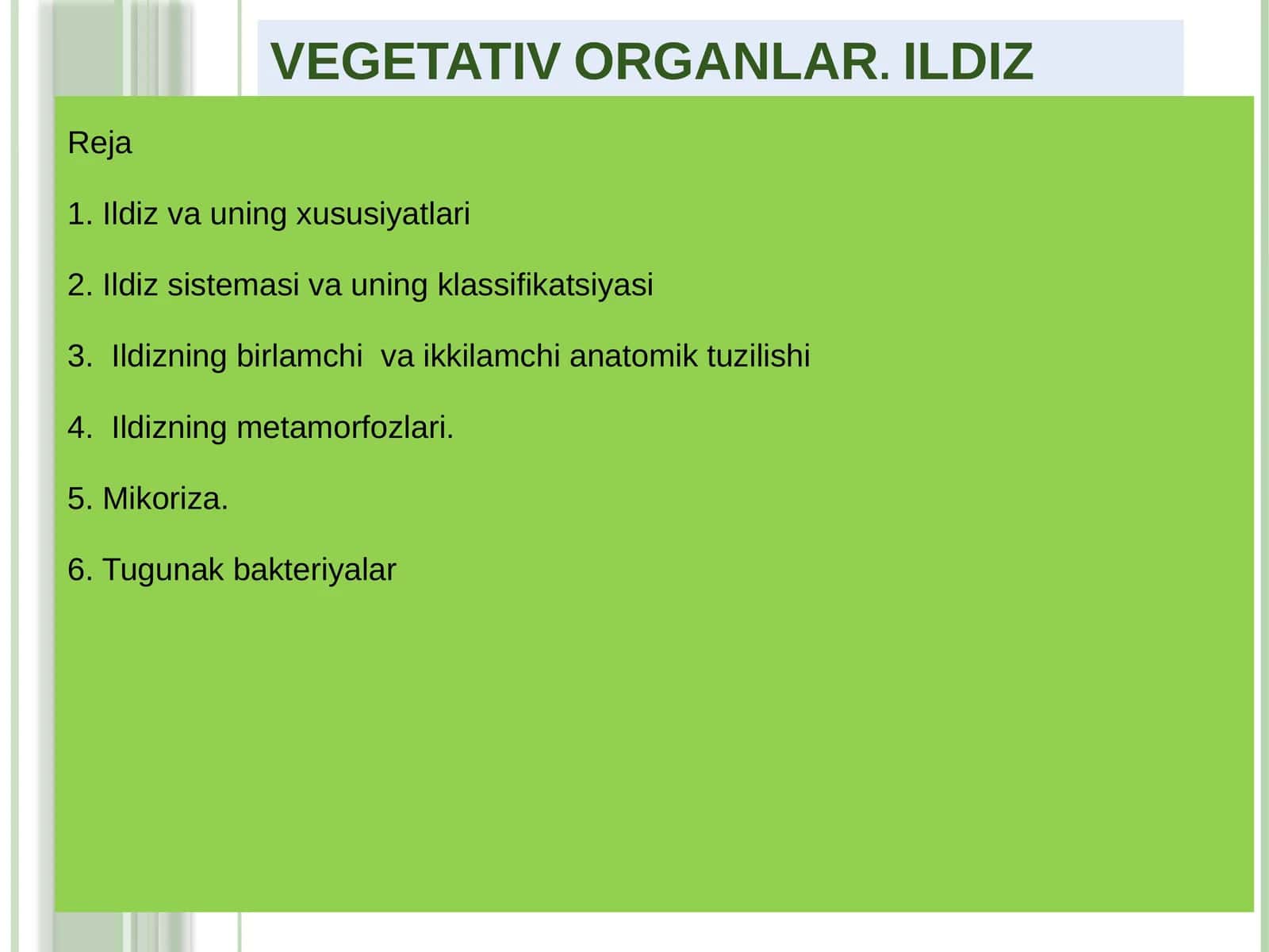 Vegetativ organlar. Ildiz