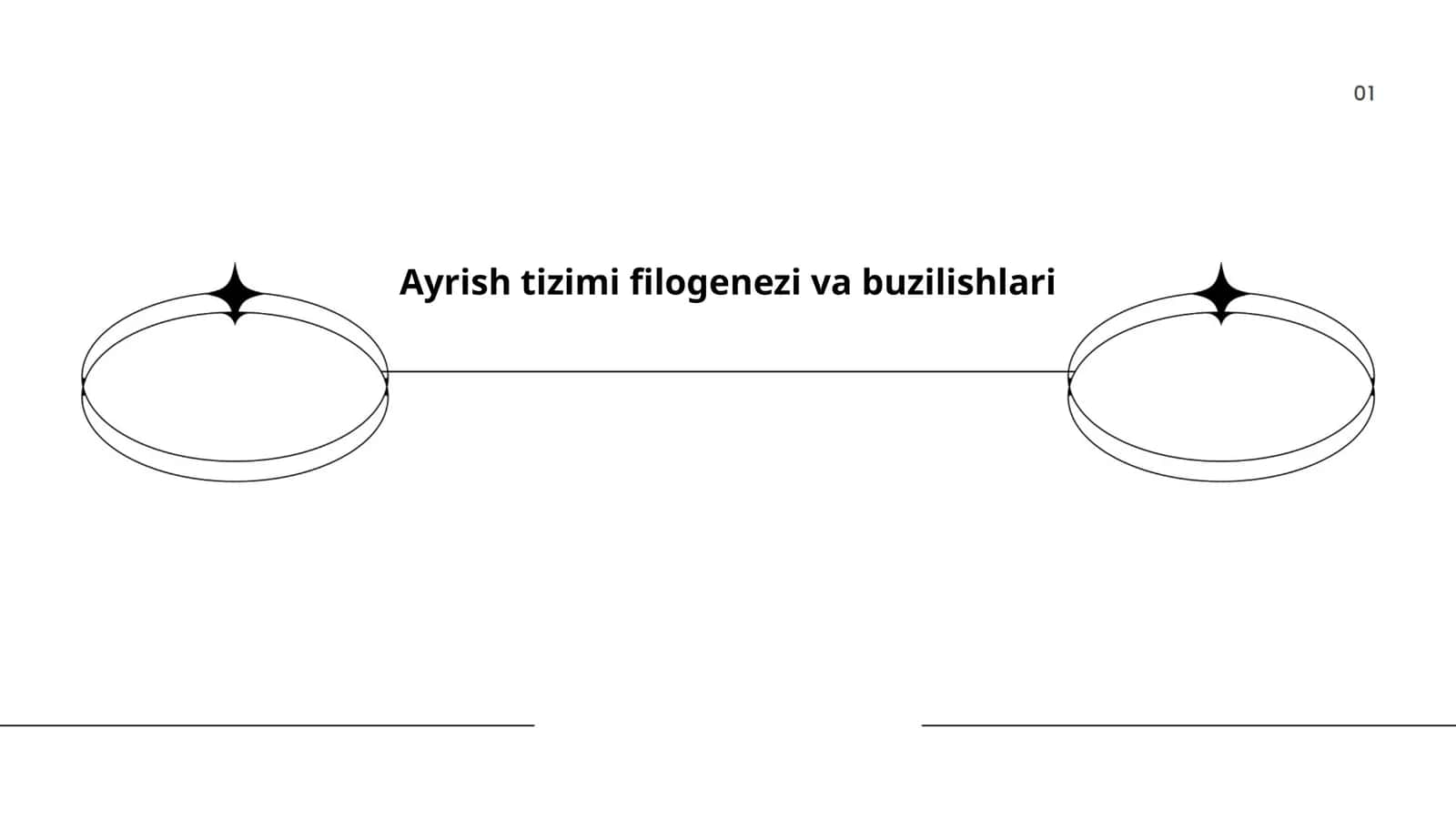 Ayrish tizimi filogenezi va buzilishlari