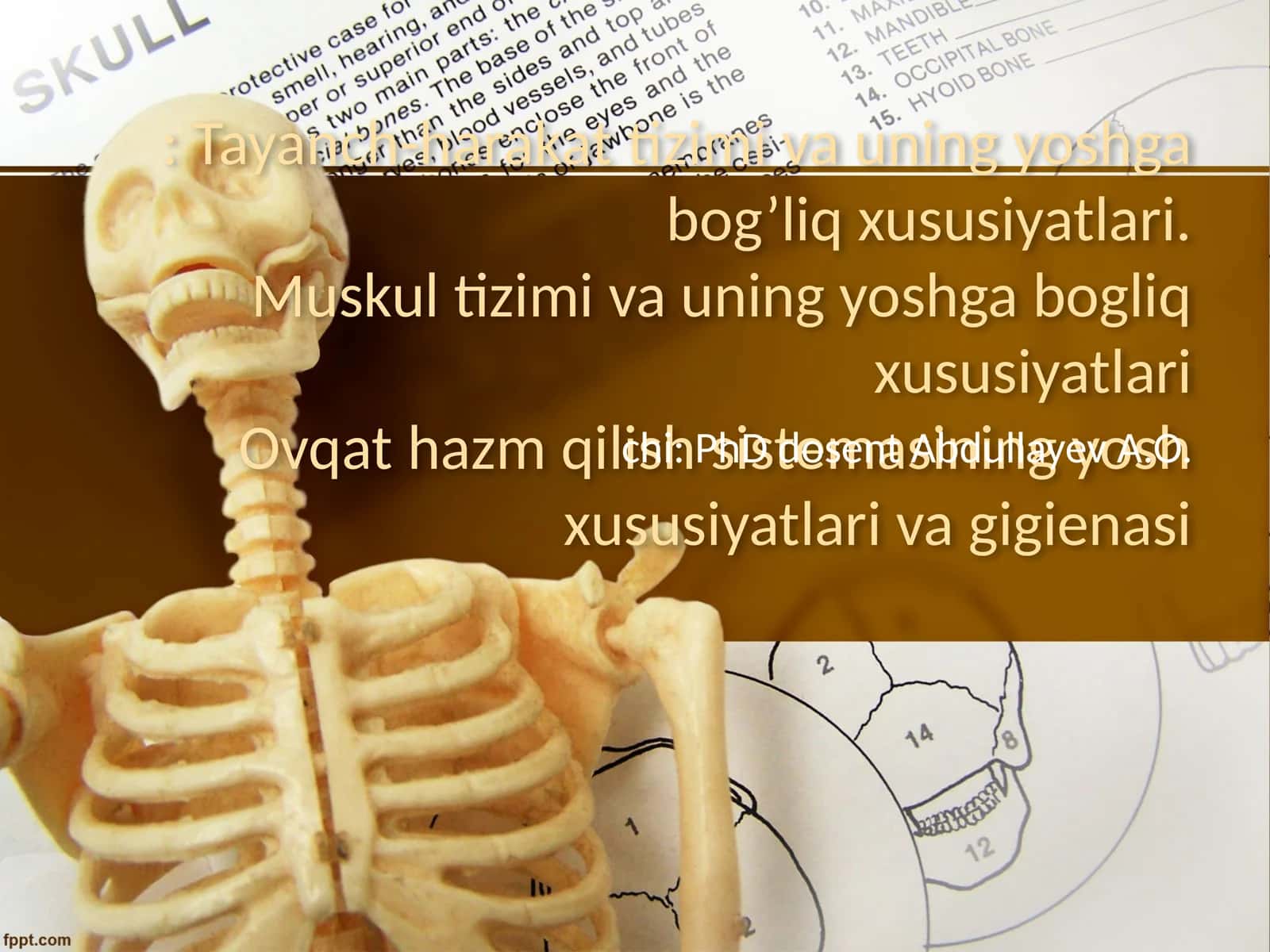 Tayanch-harakat tizimi va uning yoshga bog’liq xususiyatlari.Muskul tizimi va uning yoshga bogliq xususiyatlariOvqat hazm qilish sistemasining yosh xususiyatlari va gigienasi