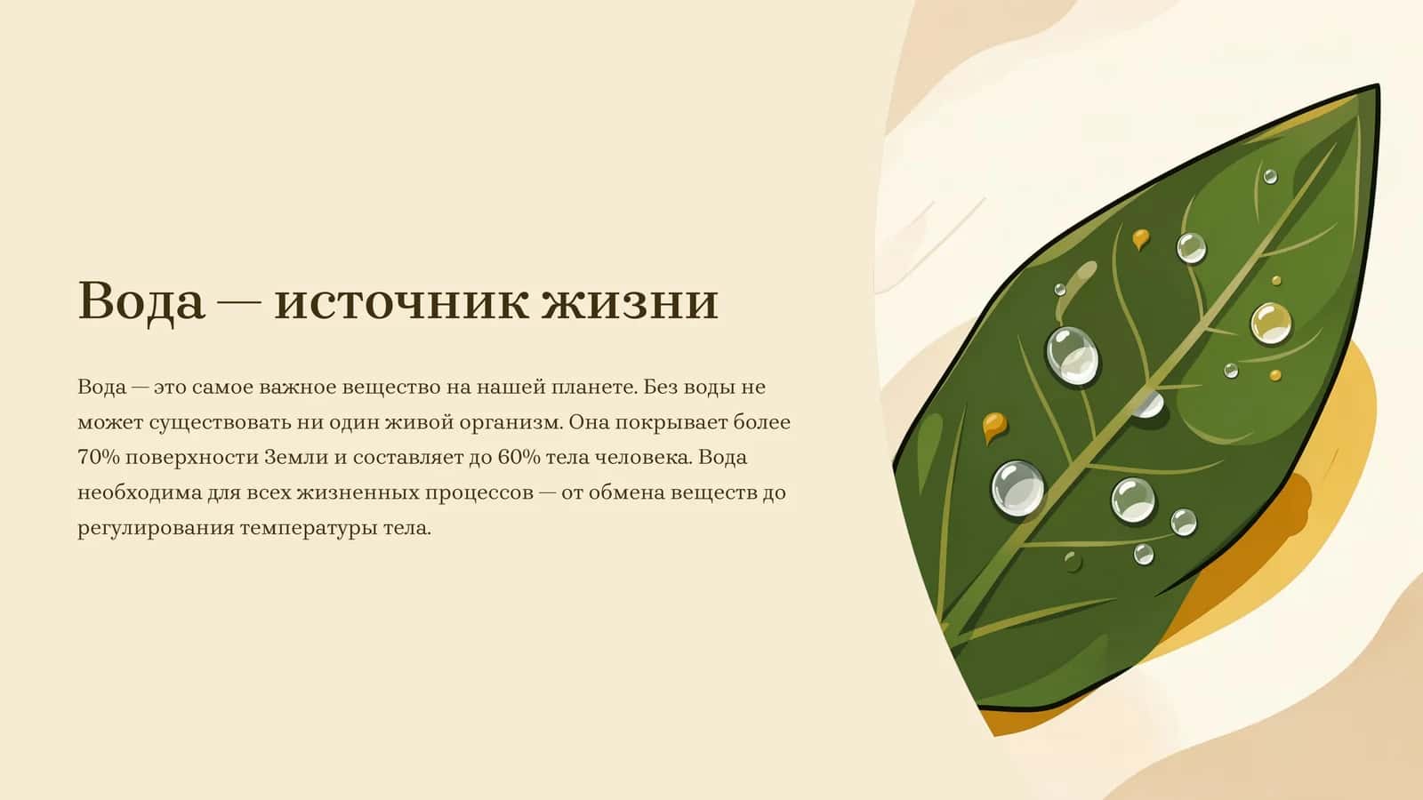 Вода — источник жизни