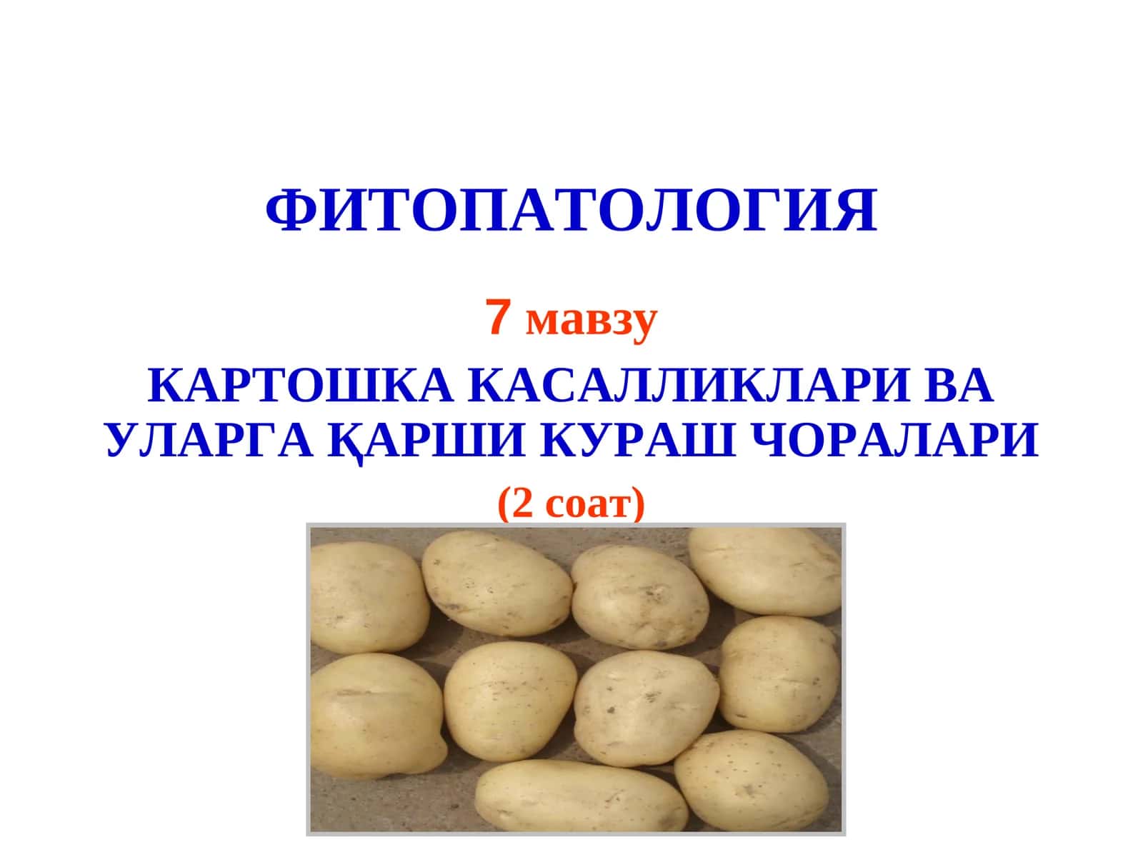 Картошка касалликлари ва уларга қарши кураш чоралари