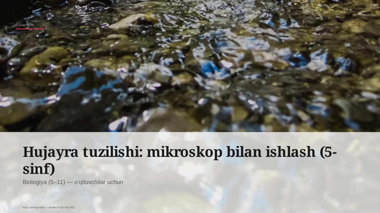 Hujayra tuzilishi: mikroskop bilan ishlash (5-sinf)