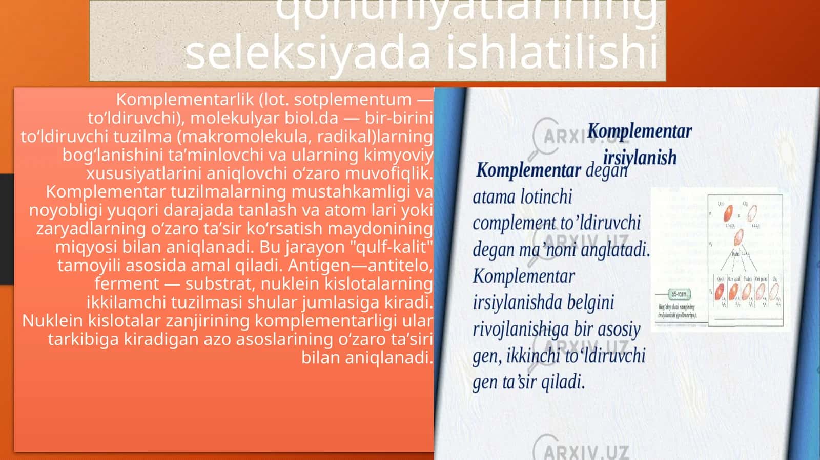 Komplementarlik va epistaz ta'sir qonuniyatlarining seleksiyada ishlatilishi