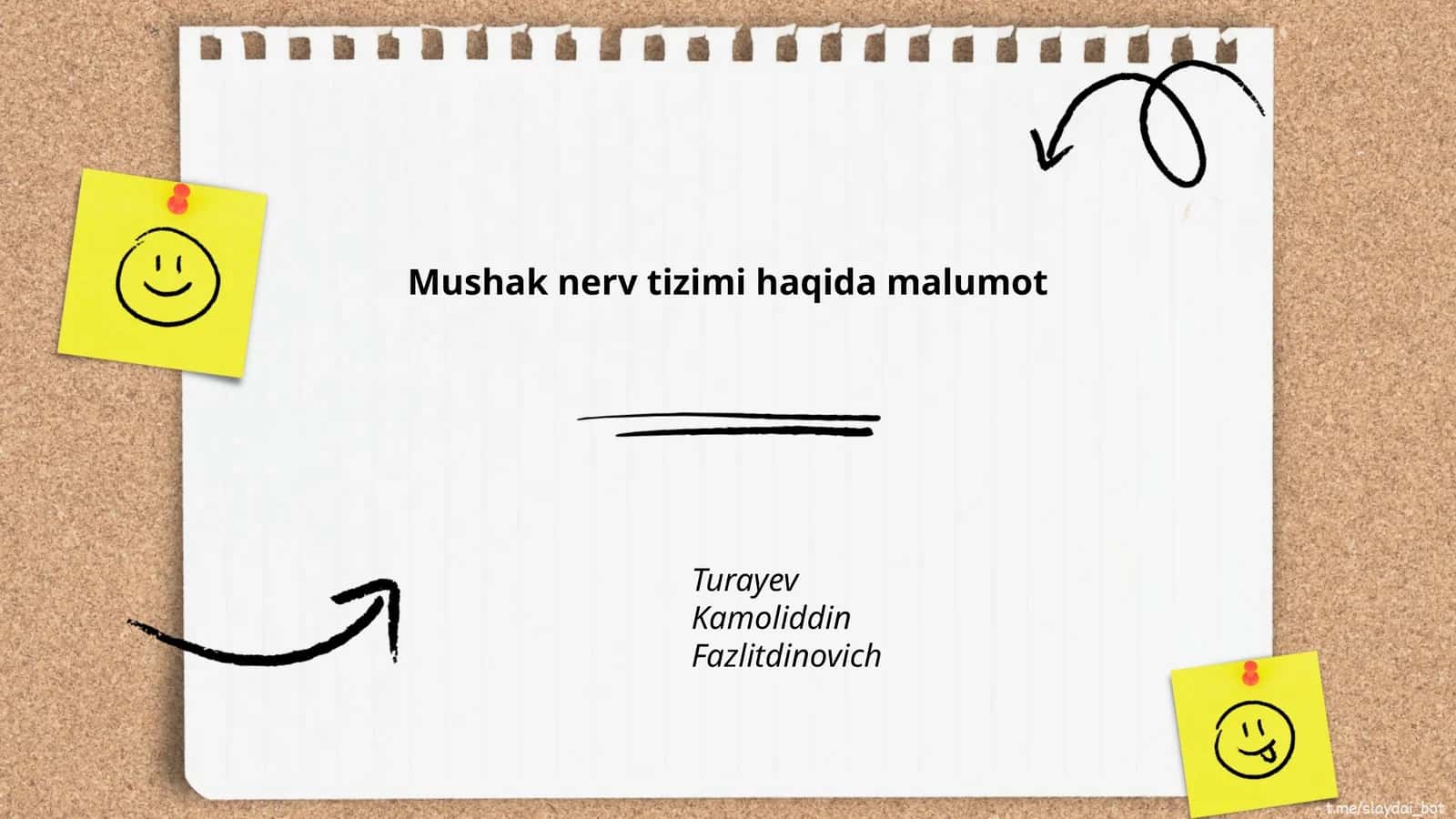 Mushak nerv tizimi haqida malumot