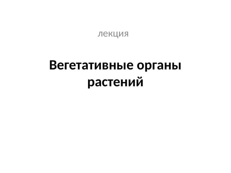 Вегетативные органы растений