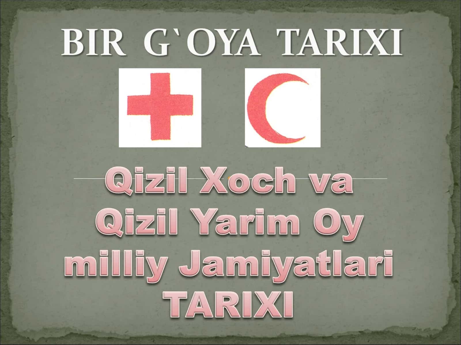 Qizil Xoch va Qizil Yarim Oy milliy Jamiyatlari TARIXI